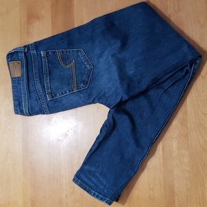 American Eagle Skinny Fit Denim